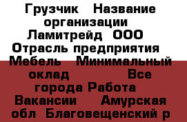 Грузчик › Название организации ­ Ламитрейд, ООО › Отрасль предприятия ­ Мебель › Минимальный оклад ­ 30 000 - Все города Работа » Вакансии   . Амурская обл.,Благовещенский р-н